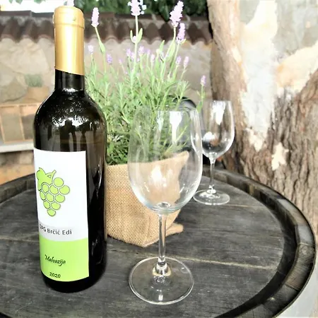 Brcic Апартаменты